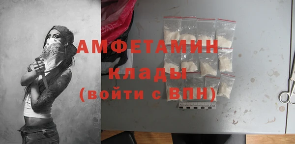 шишки Богородск