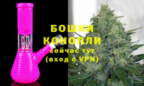 шишки Богородск