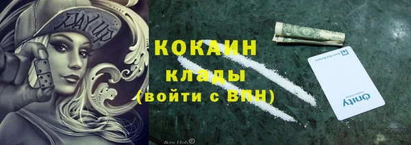 шишки Богородск