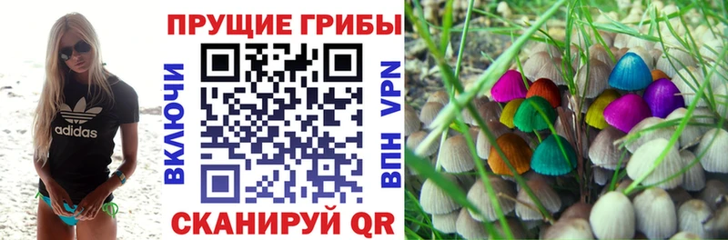 Галлюциногенные грибы мухоморы  Краснокаменск 